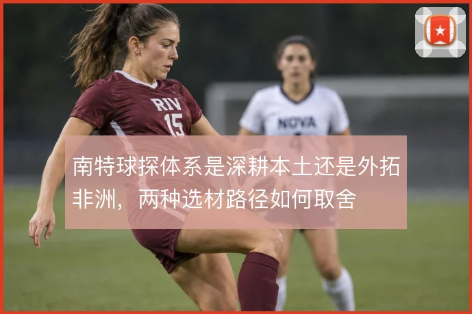 南特球探体系是深耕本土还是外拓非洲，两种选材路径如何取舍