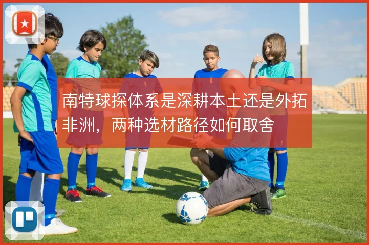 南特球探体系是深耕本土还是外拓非洲,两种选材路径如何取舍